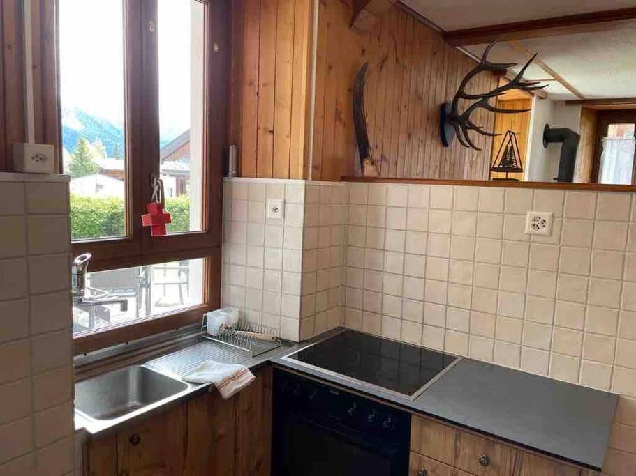 Charmant 2,5 Pieces Avec Jardin A 2 Pas Du Lac シャンペクス エクステリア 写真